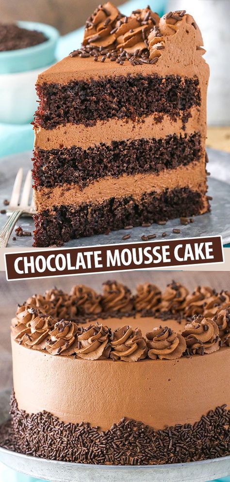 Chocolate Layer Mousse Cake, Chocolate Torte Recipe Easy, Cheesecake Factory Chocolate Mousse Cake, Chocolate Mousse Layered Cake, Chocolate Mousse Icing Recipe, Different Chocolate Cakes, Two Layer Chocolate Cake Birthday, Chocolate Cake For Thanksgiving, Cookies And Cream Mousse Cake
