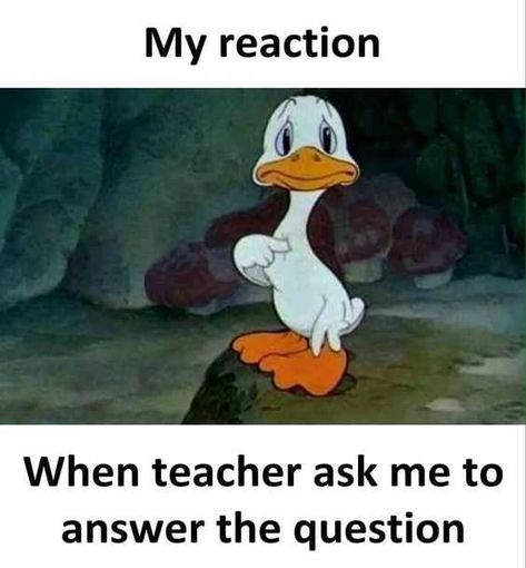 Funny Student Memes For Every High School Or College Student Humour, Crafting Quotes Funny, Meme School, Studying Memes, College Memes, School Funny, Student Memes, Funny School Memes, Student Humor