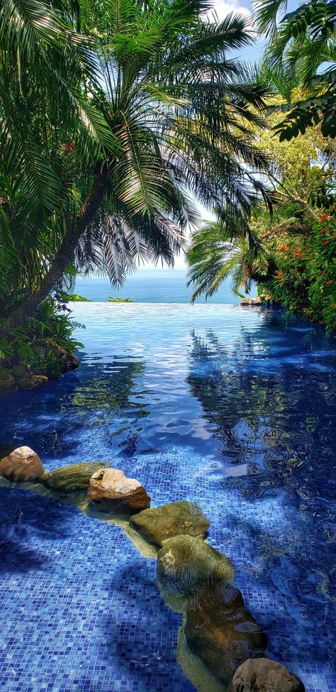 Nature, Costa Rica, Mother Nature, Art Projects, Latin America, Villa In Costa Rica, Costa Rica Villas, Endless Pool, Costa Rica Vacation