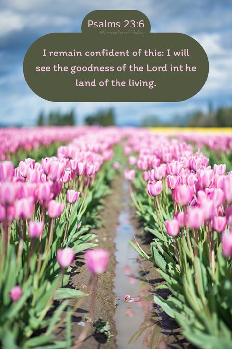 Psalm 23 6, Land Of The Living, Writer Inspiration, Psalm 23, Morning Star, Daily Bible Verse, April 26, Daily Bible, Verse Of The Day