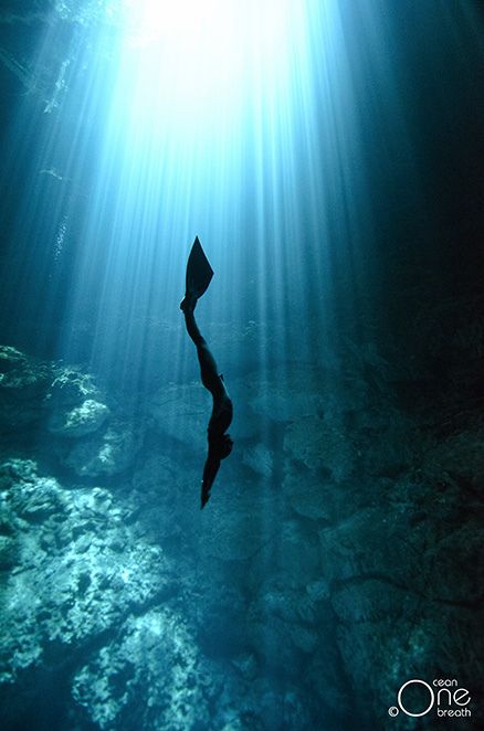 Freediving the Cenotes of the Yucatan http://www.oneoceanonebreath.com Free Diving Aesthetic, Foto Bawah Air, Bawah Air, Fotografi Bawah Air, Wow Photo, Sea Diving, Deep Sea Diving, Under The Water, Free Diving