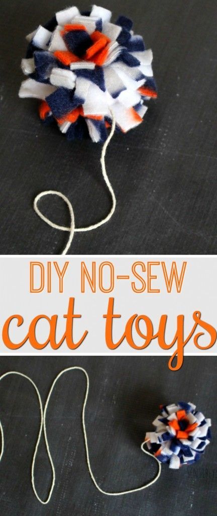 Diy Cat Toys Easy, Katt Grejer, Handmade Cat Toys, Homemade Cat Toys, Diy Pet Toys, Toys Ideas, Diy Cat Toys, Kitten Toys, Homemade Cat