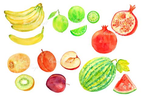 Watercolor Fruit Clipart Set 2 - Illustrations - 1 Fruit Images Food Art, Watercolor Fruits And Vegetables, Pie Pictures, Banana Water, Watercolor Fruits, Fruit Clipart, Stickers Cool, Fruits Drawing, Still Life Fruit