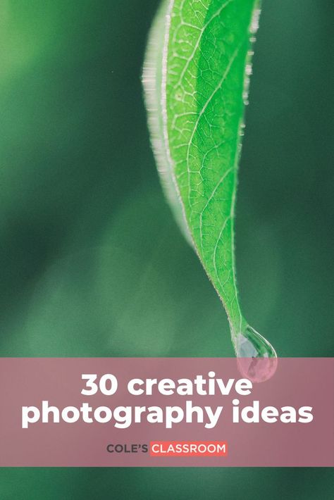 Here are 30 creative photography ideas you should try when you need inspiration. Read this article so you can have ideas for your next shoot! #colesclassroom #creativephotography #photographyideas Photography Basics, Nature Photography Ideas, Iphone Camera Tricks, Creative Photography Ideas, High Speed Photography, Camera Tricks, Beautiful Photoshoot Ideas, Bokeh Effect, Still Life Photos