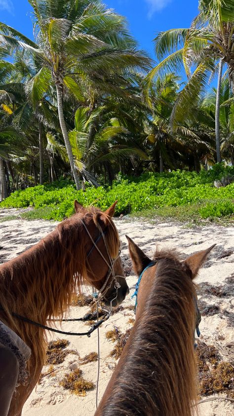 Punta Cana Horses | Summer Vibes | Palm Tree | Baecation | Punta Cana Activities Monkeyland Punta Cana, Punta Cana Activities, Punta Cana Aesthetic, Punta Cana Travel, Traveling Girl, Dominican Republic Travel, Summer Picture Poses, Art Noveau, Summer Inspo