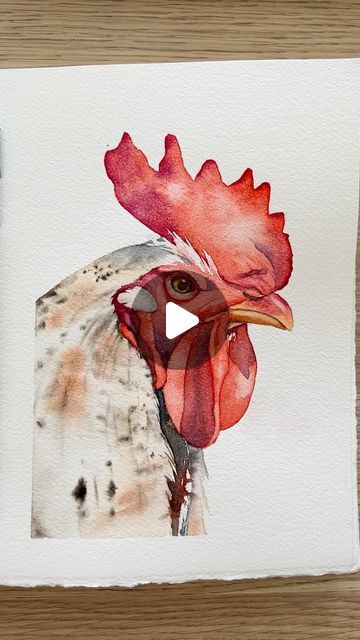 Louise De Masi Watercolor Painting, Watercolour Rooster, Watercolor Rooster, Fun Watercolor, My Journal, July 3, Painting Process, Animal Drawings, This Morning