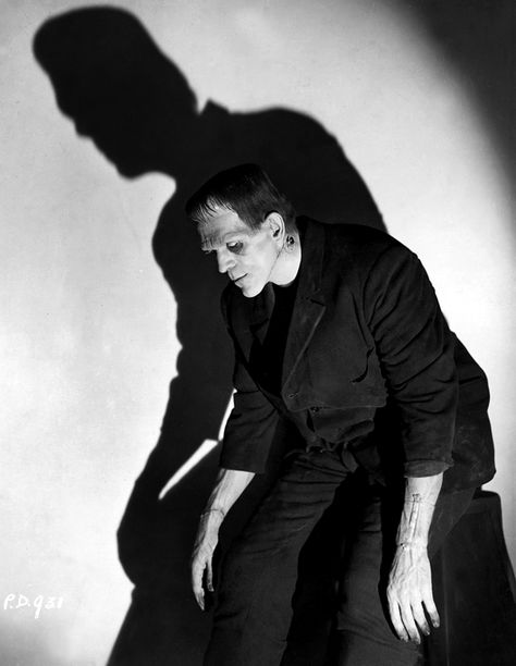 Boris Karloff Frankenstein, Frankenstein 1931, Classic Monster Movies, Frankenstein Art, Boris Karloff, Horror Monsters, Frankenstein's Monster, Famous Monsters, Classic Horror Movies