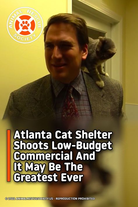 This is one of the purest things I've seen in a while. This man made the most adorable commercial, these cats are really lucky to be on that place and I hope they all find new loving kitten-lovers homes #catshelter #cats #pets #animals Crazy Cat Lady Humor, Gaming Cat, Cat In Box, Cat Sayings, Images Of Cats, Cat Lady Humor, Heart Cats, Got Talent Videos, Cat Cartoons
