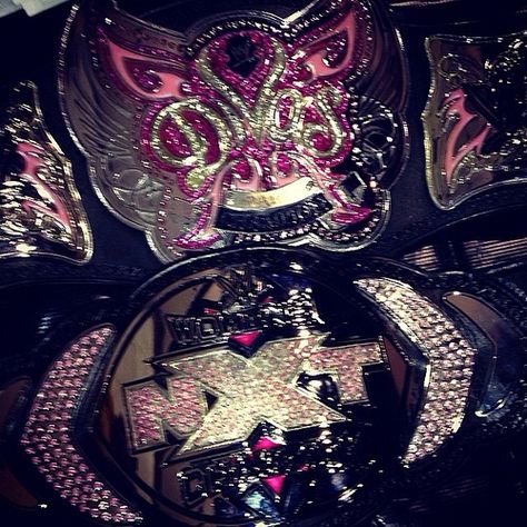 Sad tht the NXT Womens championship looks way better than the Divas butterfly belt Nxt Womens Championship, Divas Championship Belt, Wwe Diva Aesthetic, Ashley Massaro Wwe, Early 00s Aesthetic, Wwe Aesthetic, Divas Championship, Wwe Women's Championship, Wwe Championship Belts