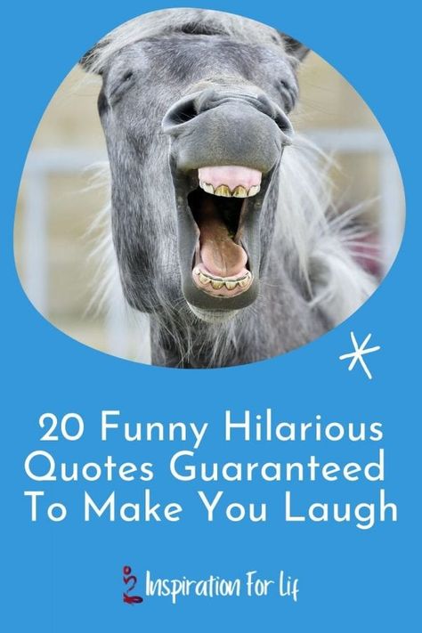 Hope You Are Having A Good Day Funny, Funny Words For Friends, Humorous Quotes About Life Hilarious, Funny Sunday Quotes Hilarious, No Worries Quotes Funny, Make You Laugh Quotes, Have A Great Day Quotes Funny Hilarious, Sunday Funny Quotes Hilarious, Funny Good Day Quotes