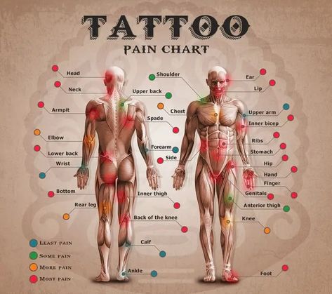 Tattoo Pain Chart Tattoos For Women On Thigh, Robin Tattoo, Pain Chart, Upper Back Tattoos, Pain Scale, Scale Tattoo, Irish Tattoos, Bicep Tattoo, Tattoos Geometric