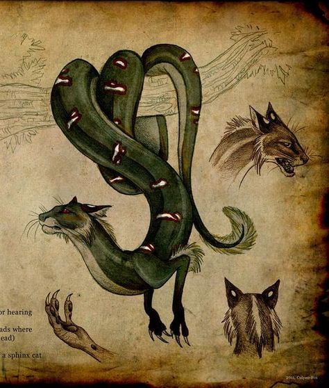 The Magical Creature Handbook - Tatzelwurm - Wattpad Types Of Monsters, Magical Creatures Mythology, Mystical Creatures Mythology, Fantasy Creatures Mythology, Creaturi Mitice, Mythical Monsters, Magical Creature, Mythical Animal, Ancient Mythology