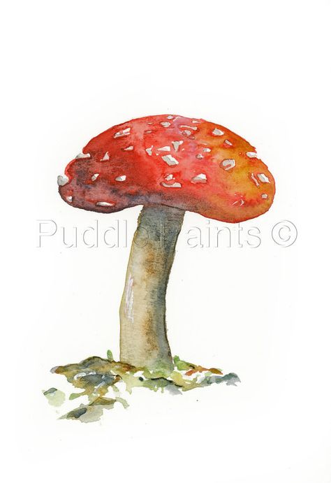 Toadstall watercolour painting woodland print Ink Tattoos, Mushroom Painting, Red Mushrooms, Mushroom Paint, Red Tattoo, Mushroom Drawing, Red Mushroom, Red Ink Tattoos, Black Framed Wall Art