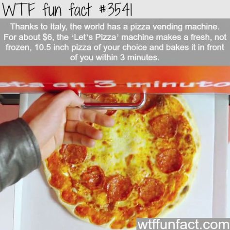 The world first pizza vending machine - WTF fun facts Pizza Vending Machine, Pizza Machine, Facts About Food, What The Fact, Weird But True, Food Funny, Fast Facts, Vending Machine, True Facts