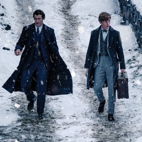 Newt And Theseus, Newt Scamander Aesthetic, Harry Potter Prequel, Fantastic Beasts Cast, The Secrets Of Dumbledore, Secrets Of Dumbledore, Fantasic Beasts, Callum Turner, Crimes Of Grindelwald
