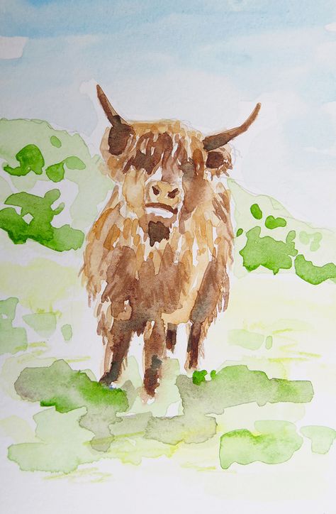 Croquis, Watercolour Highland Cow, Highland Cow Sketch, Cows Watercolor, Water Colour Painting Watercolour, Highland Cow Watercolor, Watercolor Highland Cow, Cow Sketch, Watercolor Painting Easy