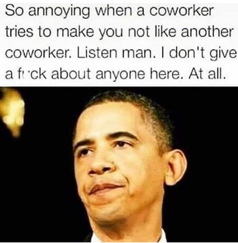 Humour, Coworkers Quotes, I Need A New Job, Co Worker Memes, Annoying Co Workers, Annoying Coworkers, Coworker Quotes, Coworker Humor, Workplace Humor