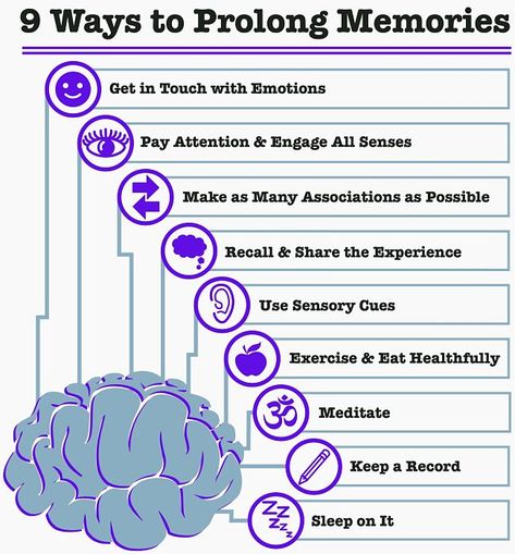 Ways To Memorize Things, Improving Memory, Mnemonic Devices, Increase Memory, Brain Memory, Brain Facts, Exams Tips, Brain Exercise, Brain Science