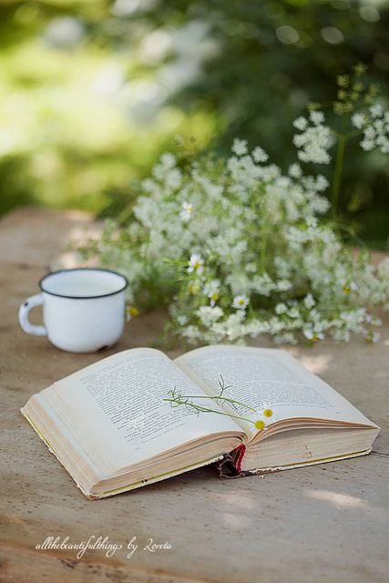 ♥ | Flickr - Photo Sharing! Old Books, Christina Core, Tea And Books, Book Flowers, Queen Annes Lace, World Of Books, Trik Fotografi, Coffee And Books, Book Nooks