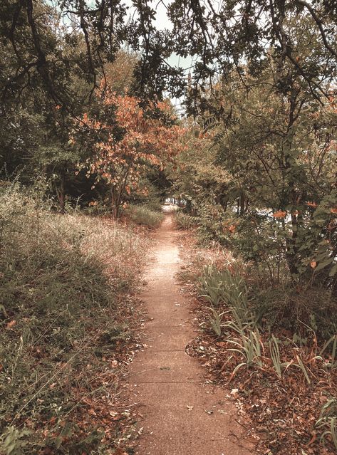 Nature, path, fall, autumn aesthetic Nature, Walking Path Aesthetic, Guidance Aesthetic, Path Aesthetic, Fall Autumn Aesthetic, Mountain Path, Walking Path, Walking Paths, Autumn Aesthetic