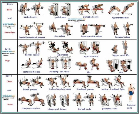 (ad) The Most Important Gym Routines for Men  1. Deadlift  2. Back squat  3. Bench Press  4. Dumbbell romanian deadlift  5. Kettlebell swing. 3 Day Workout Routine, Lean Muscle Workout, 3 Day Workout, Trx Workout, Gym Program, Gym Plan, Workout Plan For Men, Work Out Routines Gym, Bodybuilding Program