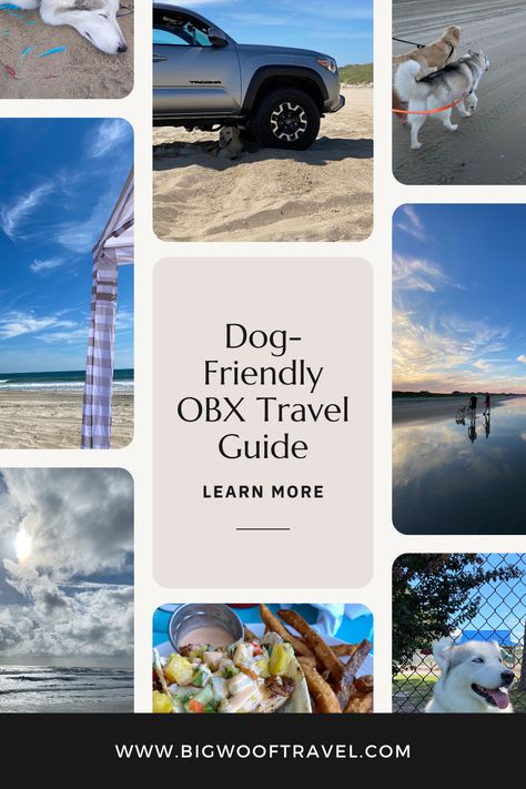 Get recommendations on dog-friendly beaches in the Outer Banks, plus our favorite spots to eat + drink! Woof Travel, Nc Travel, Outer Banks Beach, Dog Friendly Beach, South Carolina Beaches, Outer Banks Nc, The Outer Banks, Dog Friendly, Outer Banks