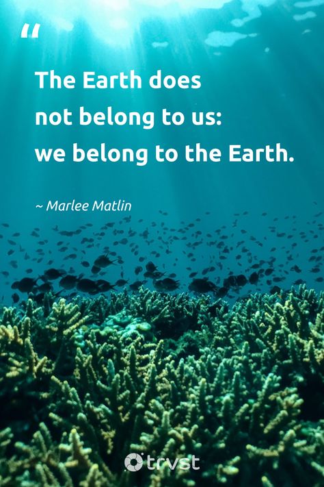 Quotes On Earth Day, Quotes For Earth Day, Quotes On Save Earth, Environmental Quotes Inspirational, Earth Day 2024, Earth Day Quotes Inspirational, Save The Earth Quotes, Save Earth Quotes, Quotes On Earth