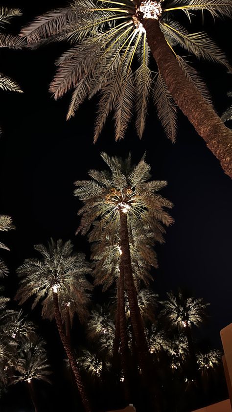 Palms Aesthetic Wallpaper, Arab Nights Aesthetic, Snapchat Background Wallpaper, Arabic Night, Water Live Wallpaper, Night Landscape Photography, In The Pale Moonlight, Beautiful Wallpapers For Iphone, Night Sky Photography