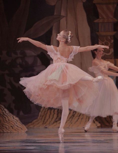 swankiss on Twitter: "https://t.co/8Osh0SeE6n" / Twitter Ballet Photography, Ballet Pictures, Ballet Beauty, Ballet Inspiration, Dancing Aesthetic, Ballet Photos, Nutcracker Ballet, Ballet Beautiful, Ballet Costumes