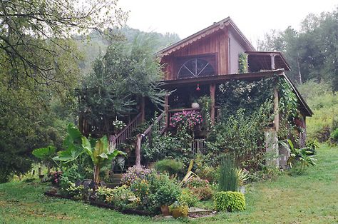 Home Hand Built House, Plants Around House, Farm Plants, Plants House, Cabin In The Mountains, Cob House, Hus Inspiration, Earthship, Cabins And Cottages