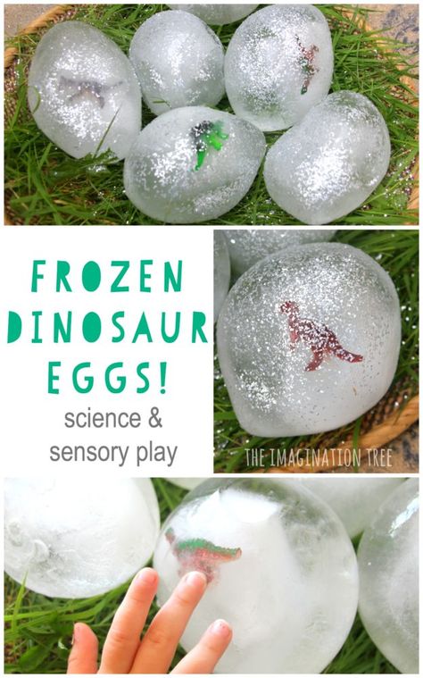 frozen-dinosaur-eggs-science-and-sensory-play-for-kids Penelope Rex Activities, Digging For Dinosaurs Activities, Dinosaur Dramatic Play Preschool, Frozen Dinosaur Eggs, Frozen Play, Dinosaur Week, Dinosaur Diy, Dinosaur Activities Preschool, Play For Kids