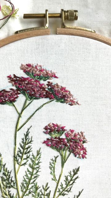 Couture, Yarrow Embroidery, Yarrow Plant, Embroidery Jeans Diy, Yarrow Flower, Handmade Embroidery Designs, Embroidery Jeans, Embroidered Art, Thread Art