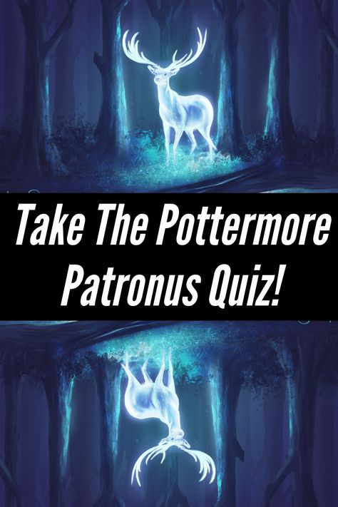 Against an army of Dementors, you find yourself one of the rare few who can use this charm. Before you prime your wand and utter the magical incantation, you take a moment to wonder what kind of creature your Patronus would look like. Since wizards need to concentrate on their happiest memory to conjure one, how would it be related to it? Inspired by the original Pottermore Patronus quiz, we’ve prepared our own special take to help you find your true Patronus. My Patronus Is A Stitch, What Is Your Patronus Quiz, Harry Potter Patronus Quiz, Harry Potter Wand Quiz, Pottermore Sorting Quiz, Patronus Quiz, Patronus Harry Potter, Harry Potter Character Quiz, Hogwarts Sorting Quiz