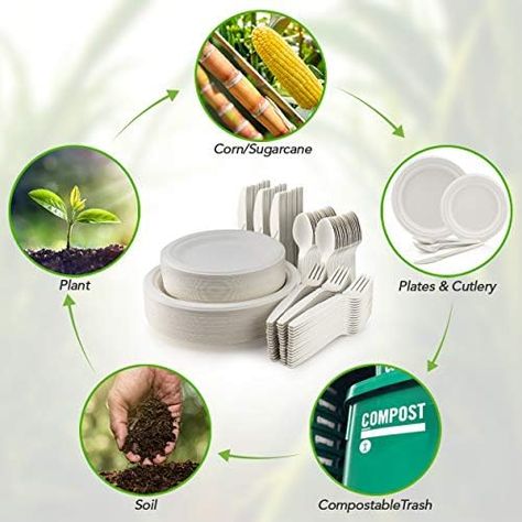 Bulk 250 Piece Biodegradable Paper Plates Set (EXTRA LONG UTENSILS), Disposable Dinnerware Set, Eco Friendly Compostable Plates & Utensil include Plates, Forks, Knives and Spoons for Party Manufacturer Check more at https://www.packagingeye.com/product/bulk-250-piece-biodegradable-paper-plates-set-extra-long-utensils-disposable-dinnerware-set-eco-friendly-compostable-plates-utensil-include-plates-forks-knives-and-spoons-for-party-manufacture Compostable Plates, Compost Soil, Wood Plates, Food F, Disposable Plates, Dessert Appetizers, Appetizer Plates, Plates Set, Hot Meals