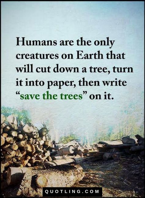 Quantum Quotes, Save Nature Quotes, Nature Quotes Trees, Environment Awareness, Citation Nature, Environmental Quotes, Environment Quotes, Mother Nature Quotes, Ap Lang