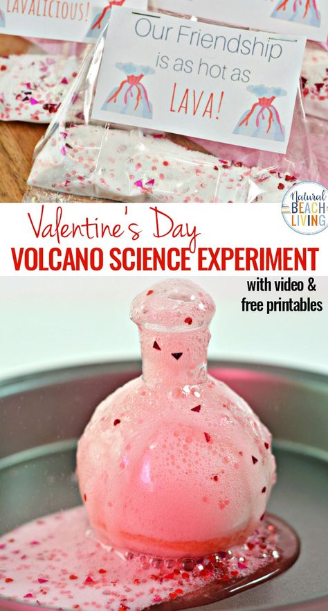 Valentine's Day Volcano Science Experiment with Free Valentine's Day Cards for Kids, Children loves seeing the reaction of baking soda and vinegar so why not pretty it up for a Valentines Day Science experiment .Preschool Valentine Cards, Volcano Experiment for Kids with Science Video, Non Candy Valentine's Day Idea #scienceforkids #valentinesday #valentinesdayactivities #valentinesdayscience #valentines Science Experiment Valentines, Kindergarten Boy Valentines, None Candy Valentines For Kids, Valentines Volcano For Kids, Preschool Valentine Science Activities, Valentine Science Experiments For Kids, Valentine’s Day Science Experiment Preschool, Valentine Activities For Kids Preschool, Valentines Homeschool Free Printables