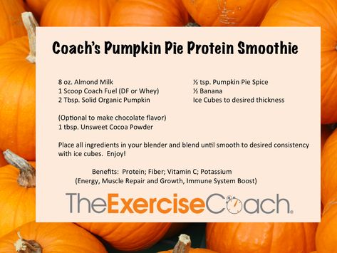 Pumpkin Pie Protein Smoothie, Pumpkin Protein Smoothie, Russian Twist Exercise, Mayo Clinic Diet, Core Exercises For Women, Exercise Coach, Muscle Repair, Pumpkin Protein, 7 Day Diet Plan