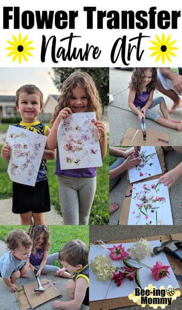 Flower transfer nature art activity for kids, hammer away! November Nature Activities, Montessori, Nature, Nature Art Activities For Kids, Flower Activities For Kids, Summer Holidays Kids, Nature Walk Activities, Flower Activities, Outdoor Nature Activities