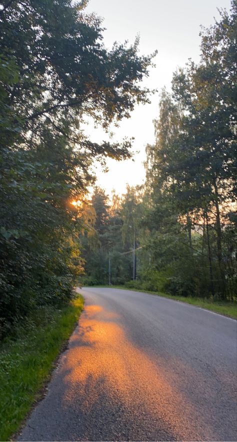 Nature, Open Road Aesthetic, Forest Road Aesthetic, Country Road Aesthetic, Road In The Woods, Road With Trees, Road Images, Sunrise Forest, Forest Sunrise