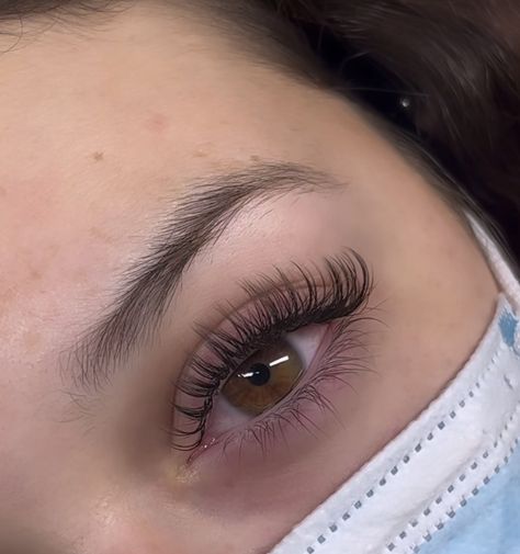 Hybrid Lash Extensions C Curl, Fluffy Wispy Lashes, Silk Lash Extensions, Cat Eye Wispy Lash Extensions Hybrid, Small Eye Lash Extension, Lana Del Rey Lash Extensions, Lash Extensions Kitten Eye, Lash Extensions Soft Volume, Classic Sets Eyelashes