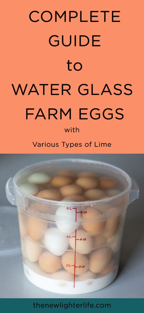 Storing Eggs In Lime Water, Water Glassing Eggs, Preserve Eggs, Emergency Storage, Preserving Eggs, Storing Eggs, Canning Kitchen, Freezing Eggs, All About Water