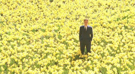 Daffodil scene....Big Fish Big Fish Movie, Thelma Et Louise, Color In Film, The Truman Show, Apocalypse Now, Septième Art, Dark City, Movie Shots, Film Grab