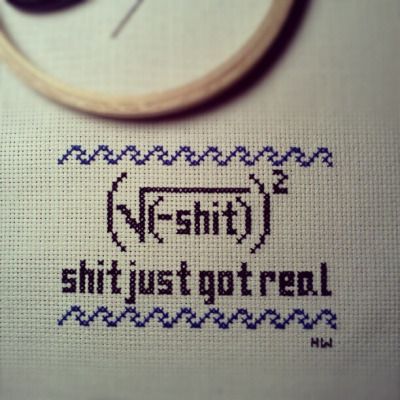 subversive cross stitch | Tumblr Funny Cross Stitch Patterns Hilarious, Geeky Cross Stitch Patterns Free, Math Cross Stitch, Science Cross Stitch, Nerdy Cross Stitch, Geek Cross Stitch, Simple Border, Subversive Cross Stitch, Math Humor