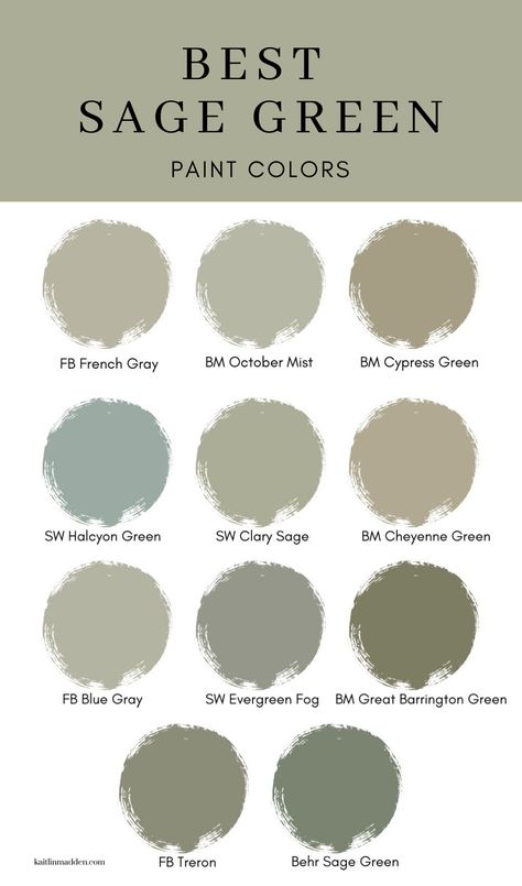 Campinas, Best Green For Dining Room, Sage Colour Living Room, Green Living And Dining Room, Dried Eucalyptus Paint Color, Sage Green Paint Ideas, Sage Green Outdoor Paint, Sage Color Swatch, Sage Green Room Paint