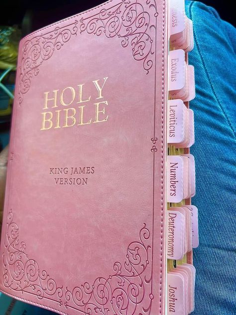 Vison Boards God, Pink Vison Boards, Pink Bible Study, Coquette Vision Board, Arianna Core, Pink Christian Wallpaper, Pink Bible, Cute Bibles, Comforting Bible Verses