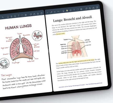 The 6 Best Note-Taking Apps for iPad in 2022 Best Digital Note Taking Apps, Best Notetaking Apps, Study Notes On Ipad, Ipad Productivity Apps, Freeform App Ideas, Digital Note Taking, Note Taking Apps For Android, Ipad Pro Note Taking, Apps For Taking Notes