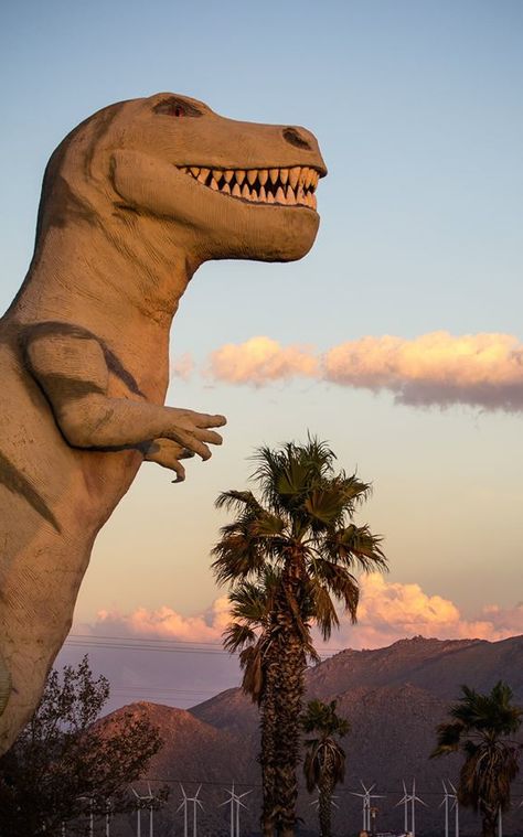 Cabazon dinosaurs outside Palm Springs Desert Dinosaur, Katie Core, Cabazon Dinosaurs, Palm Springs Aesthetic, Dinosaur Museum, Googie Architecture, Land Of The Lost, Dinosaur Age, Carnival Posters