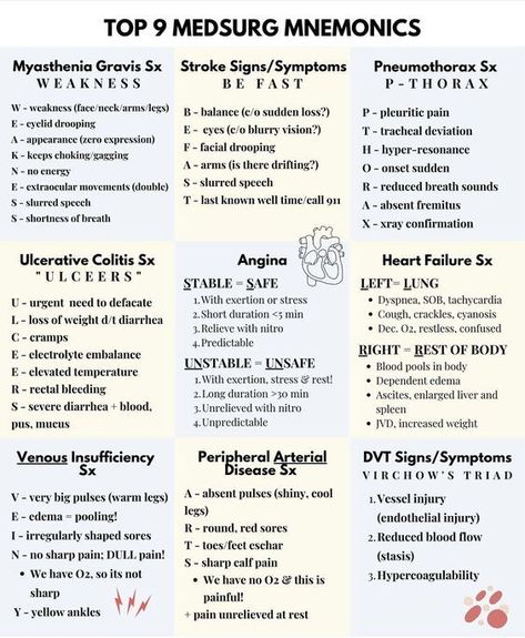 Anatomy Pneumonics, Nursing Fundamentals Mobility, Qsen Competencies Nursing, Nursing Mnemonics Med Surg, Med Surg Nursing Notes, Nursing School Wallpaper Iphone, Nursing School Supply List, Myathesia Gravis, Medsurg Nursing Cheat Sheets