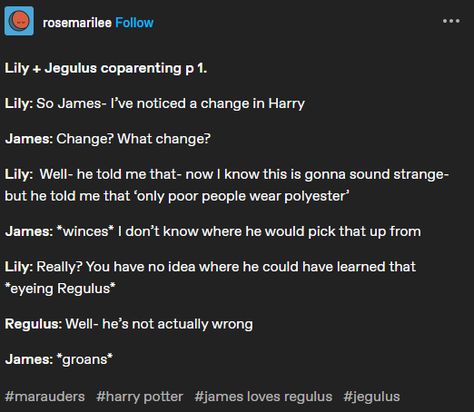 Sirius Raising Harry Fanart, Jegulus Raising Harry Headcanons, Jegulus Raising Harry, Jegulus Raise Harry, Jegulus Headcanons, Jegulus Aesthetic, Harry Potter Aesthetics, Marauders Jegulus, Headcanon Harry Potter