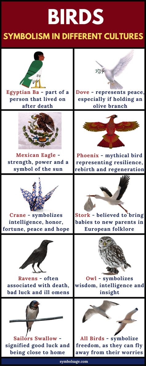 Throughout history, humans have been captivated by birds and have attributed birds with meaningful symbolism. Here's a look at the meaning of birds across cultures and times. Mockingbird Tattoo, Free Bird Tattoo, Bird Meaning, Small Wave Tattoo, Bird Tattoo Meaning, Mythical Birds, What Is A Bird, Symbols Of Freedom, Animal Symbolism